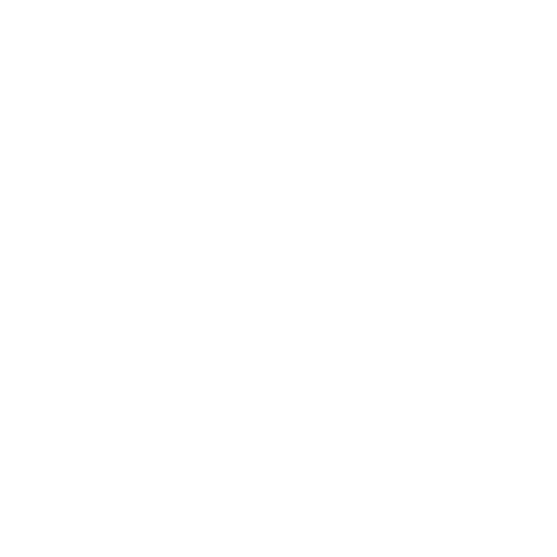 visa.png
